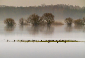 Mariusz Łeżniak Rzeka Narew 01