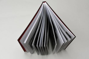 Album "Paweł Pierściński. Fotografia"