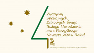 Spokojnych Świąt 2020 oraz pomyślnego Nowego 2021 Roku