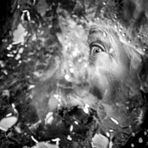 Zbigniew Furman - Autoportret