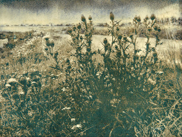 WIESŁAW TURNO OSTY 30 x 40 1992